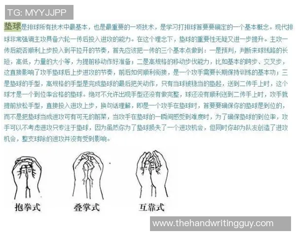 重庆排球队的灵活性揭秘：排球运动中的技巧与策略分析